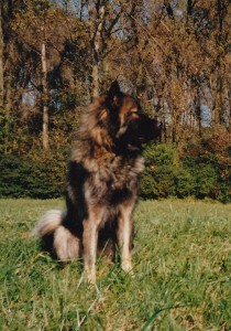 IMG_0008Aika
