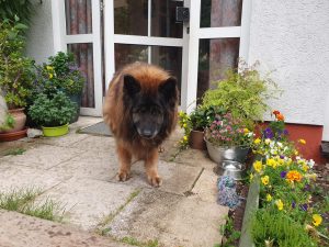 Fio an ihrem 16. Geburtstag